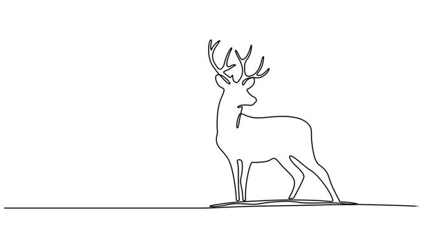 Self Drawing Animation of a Deer | Single Continuous One Line Hand-Drawn Art, Reindeer continuous one line drawing, single line art deer animal element, minimalist sketch line vector illustration