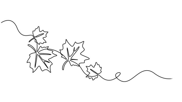 hand drawn leaf icon illustration with single line doodle concept vector, Description: Black leaf in one line art style. Leaf drawing with editable black stroke on white background. Vector