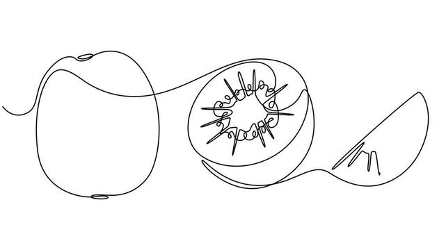 fruit kiwi and slice. Self drawing animation one continuous line draw, logo, Animated self drawing of Kiwi fruit whole and a half in continuous line art drawing style, Continuous line drawing of kiwi.