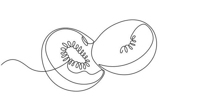 fruit kiwi and slice. Self drawing animation one continuous line draw, logo, Animated self drawing of Kiwi fruit whole and a half in continuous line art drawing style, Continuous line drawing of kiwi.