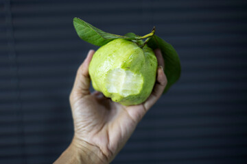 Holding A Green Guava In Hand