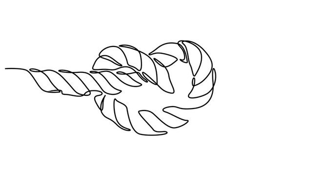 continuous one line drawing of a tug of war with hands pulling a thick rope a symbol of competition and teamwork vector outline sketch, animation, motion, video, line drawing