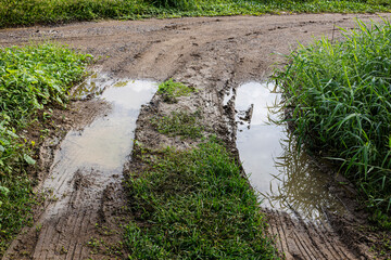 Wet Gravel Road With Grass Alongside After Rain