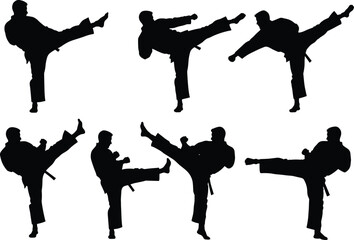 Martial artists performing high kicks, karate taekwondo poses, combat training, self-defense flat vector illustration