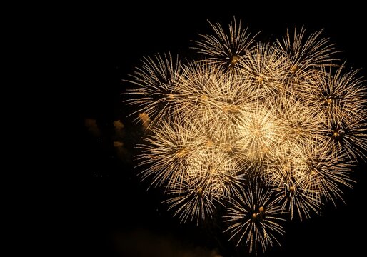 Elegant golden fireworks burst in radiant starburst pattern against deep black night sky for celebration
- Powered by Adobe