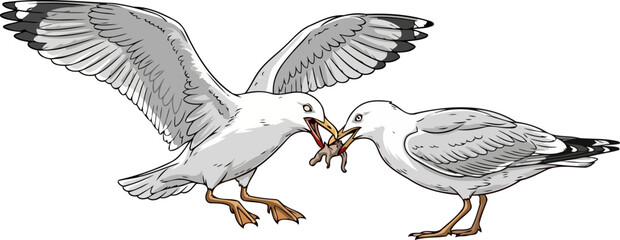 coastal dominion the unseen struggle for resources in urban wildlife realms, isolated on transparent background