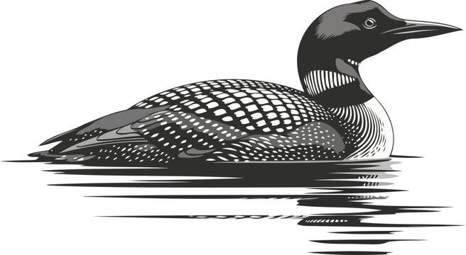 northern waters icon serene monochrome grace of the wilderness diver, isolated on transparent background