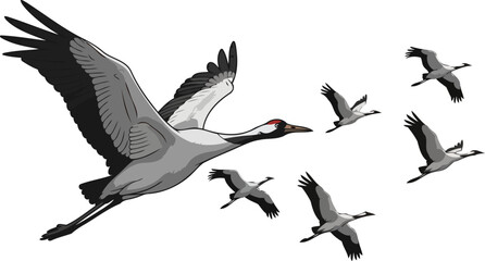 Fototapeta premium skyward symphony cranes in harmonious flight, an emblem of collective journey, isolated on transparent background