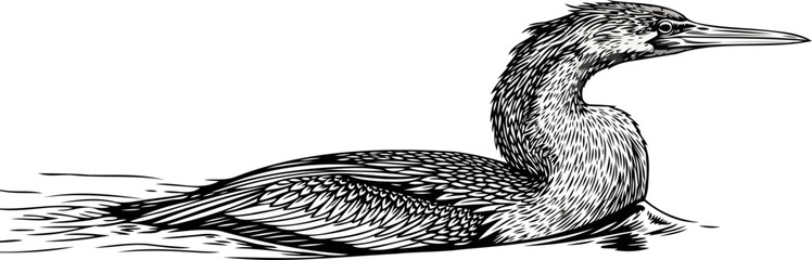 stillness on the surface an elegant aquatic birds timeless illustrated form, isolated on transparent background