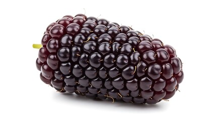 Fresh Ripe Mulberry Fruit Isolated White Background