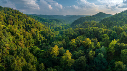 Obraz premium View of a forested valley with hills in the background during daytime with clouds in the sky