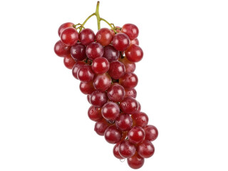 Isolated bunch of red grapes, fresh and juicy, still life healthy eating vegetarian vegan