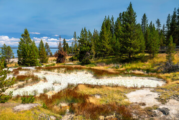 Geothermal pool with white sinter rim sits among pine trees in Yellowstone National Park, Wyoming, USA. Scenic landscape features Yellowstone Lake background in UNESCO World Heritage site