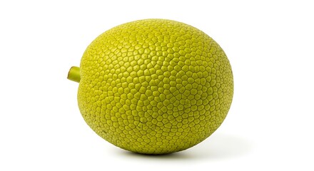 Whole Breadfruit on White Background