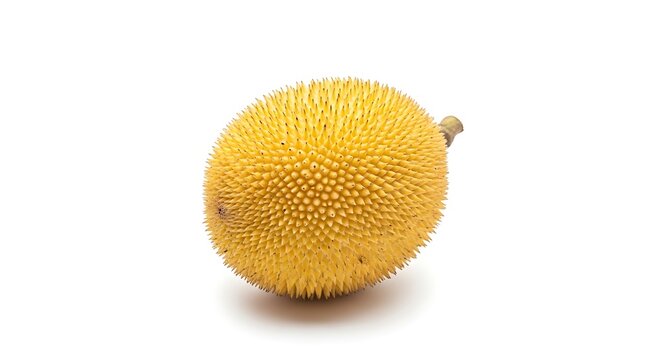 Whole Cempedak Fruit Isolated White Background