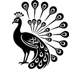 peacock vector illustration