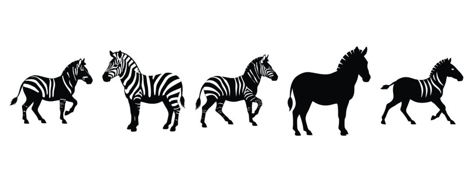 zippy zebra silhouette icon set. Animals icons collection. Animal silhouette icons. Isolated on White background
