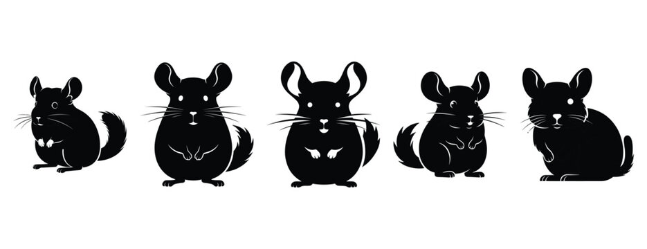 cheerful chinchilla silhouette icon set. Animals icons collection. Animal silhouette icons. Isolated on White background