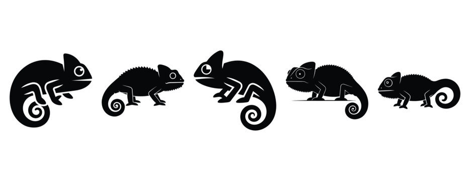 chill chameleon silhouette icon set. Animals icons collection. Animal silhouette icons. Isolated on White background