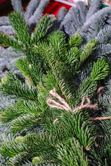 Green Christmas tree branches with ornaments and lights. Seasonal close-up for holiday backgrounds, branding and product placement. Winter background ideal for Christmas themes mood and ornament.