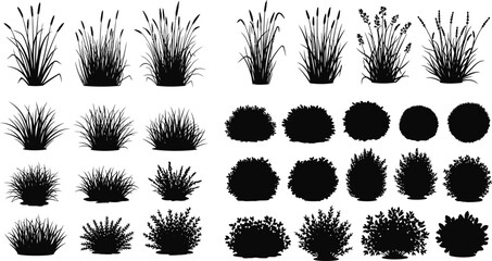 Collection of various black silhouette bushes and trees top view for landscape design