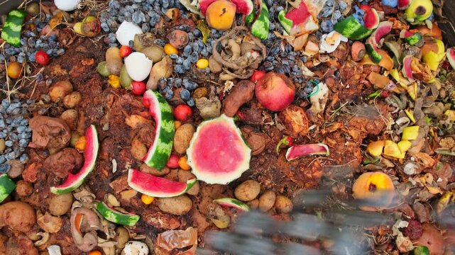 Food Waste in Outdoor Compost Bin. Rotten Food Scraps Turning into Compost. Spoiled Fruits and Vegetables in Organic Waste Pile