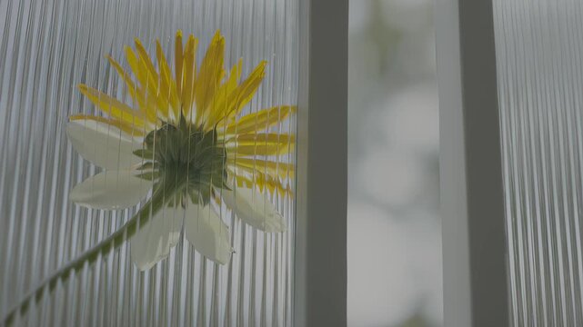 Yellow flower behind corrugated plastic