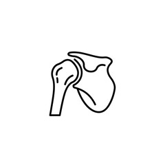 Precise Shoulder Joint Anatomy Line Drawing Outline Medical Educational Human Body Diagram