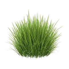 Lush green grass tuft, vibrant and full, isolated on transparent background