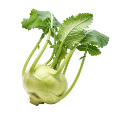 Fresh green kohlrabi with vibrant leaves isolated on transparent background