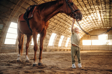 Male kid is reaching up to touch the horse, in the hangar