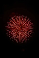 A single, vibrant red firework bursts into a perfect spherical pattern against the dark night sky