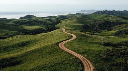 Winding dirt road snakes through rolling, grassy hills towards a distant sea under a hazy sky
