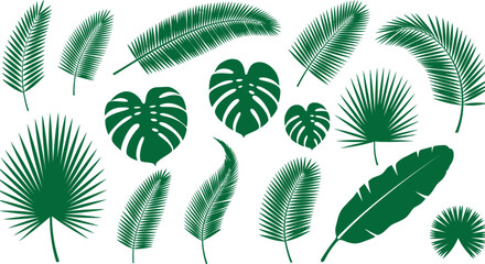 Collection of vibrant tropical leaves in various shapes and shades of green