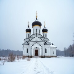 Fototapeta premium A beautiful orthodox church with black domes surrounded by snow in a cold winter landscape
