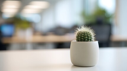 Close up of a small decorative cactus in a matte white ceramic pot on a modern office desk, bright blurred background, fresh productivity vibe, high