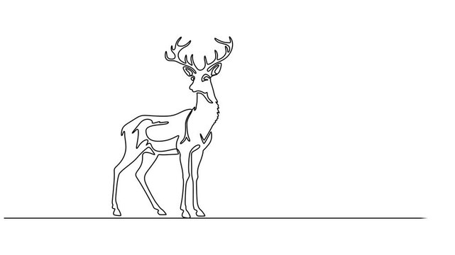 one line continuous drawing deer view, Self drawing line animation deer continuous one single line drawn concept video, designed in a nature concept for World Wildlife Day theme, Reindeer, minimalist.