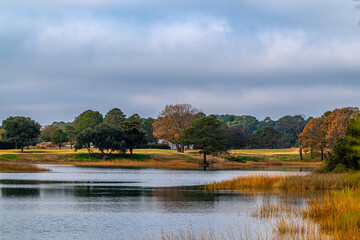 landscape with lake and trees