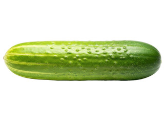 Isolated green cucumber, fresh vegetable for cooking and eating raw, delicious and healthy