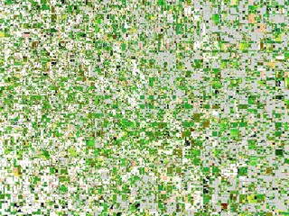 green grass background