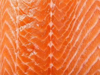 A macro close-up shot captures the vibrant orange texture of raw salmon flesh, highlighting the detailed muscle fibers and freshness in a bright studio setting.