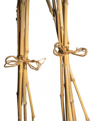 Dry bamboo branch, png
