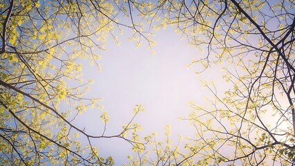 randomly placed thin and thick branches, new light-green leaves shimmering, soft pastel sky background with open empty area, dreamy natural bokeh