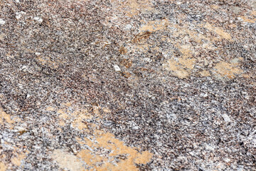 Close-up texture of granite stone covered with patches of moss and colorful lichens in organic natural patterns.