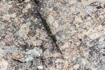 Rough granite surface featuring green moss and scattered lichen growth creating a weathered, earthy texture.
