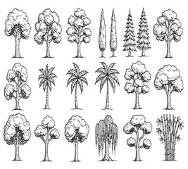 vx (13).Collection of various tree illustrations © Meem