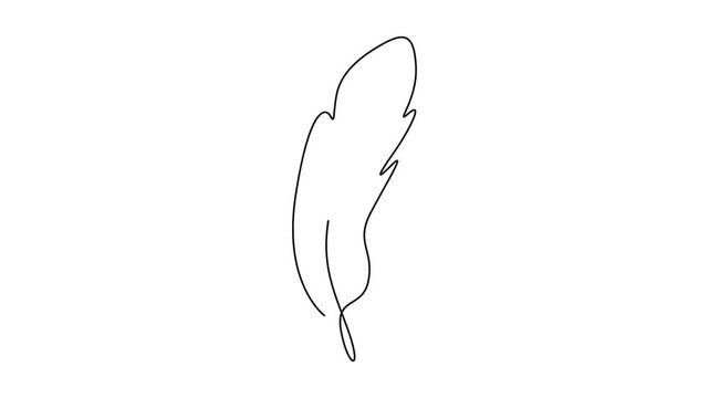 Self animated minimalist continuous one line drawing featuring a single feather. Full length one line drawing animation