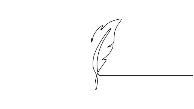 Self animated minimalist continuous line drawing featuring a single feather. Full length one line drawing animation