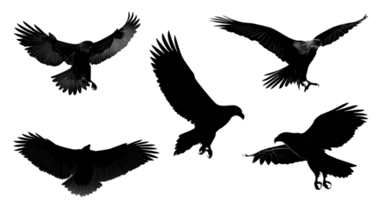 Set of flying eagle vector silhouettes for wildlife tattoo design illustration