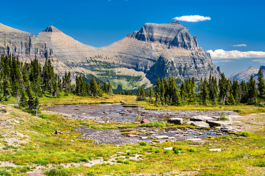 Mount Oberlin rises above small meltwater pond at Hidden Lake Pass in Glacier National Park, Montana. Scenic landscape features rocky peaks and green alpine meadow in UNESCO World Heritage site